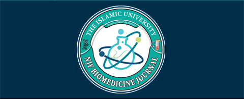 The Islamic University of Najaf